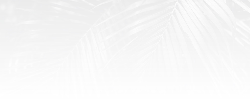 Palm Background